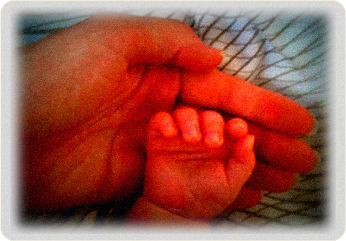 navdih doula