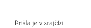 novo rojstvo